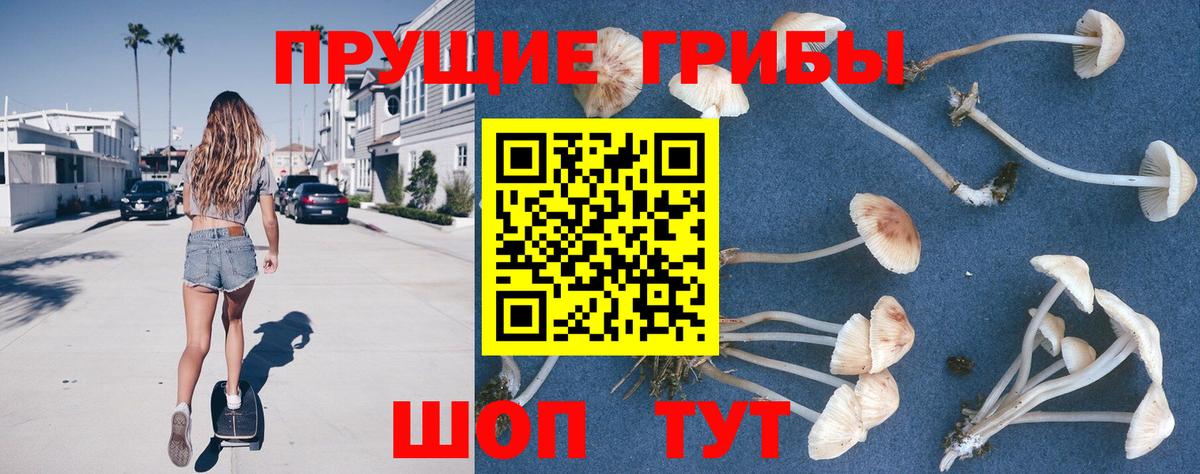 Павловский Посад  Псилоцибиновые грибы Psilocybe  Вход с VPN  Галлюциногенные грибы Psilocybine cubensis 