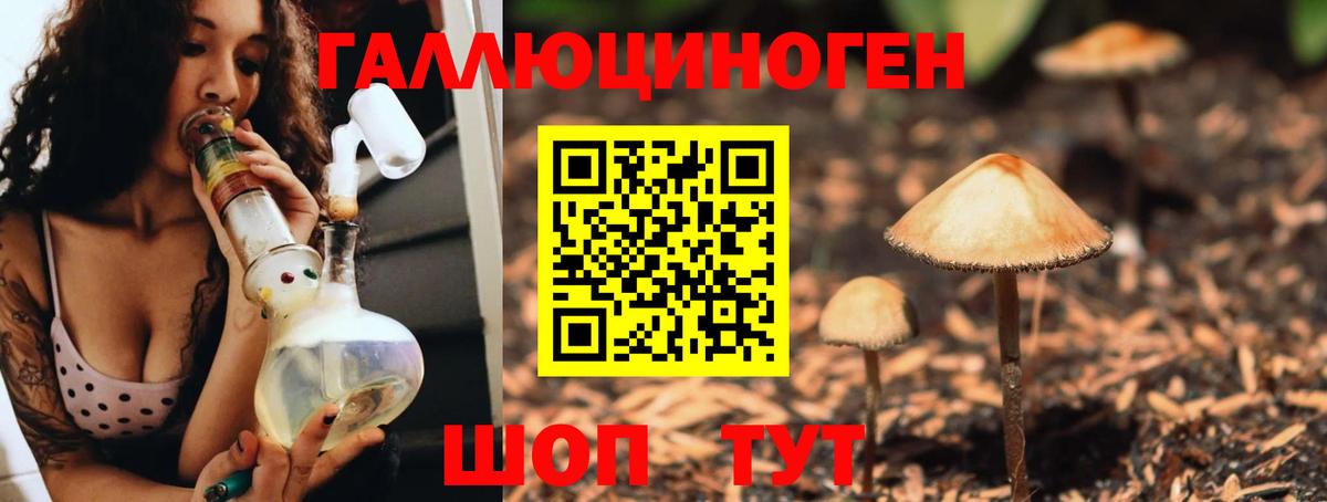 Галлюциногенные грибы Magic Shrooms Павловский Посад